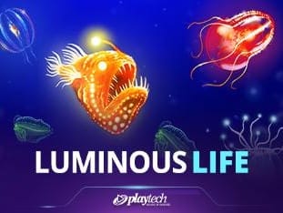Luminous Life thumbnail