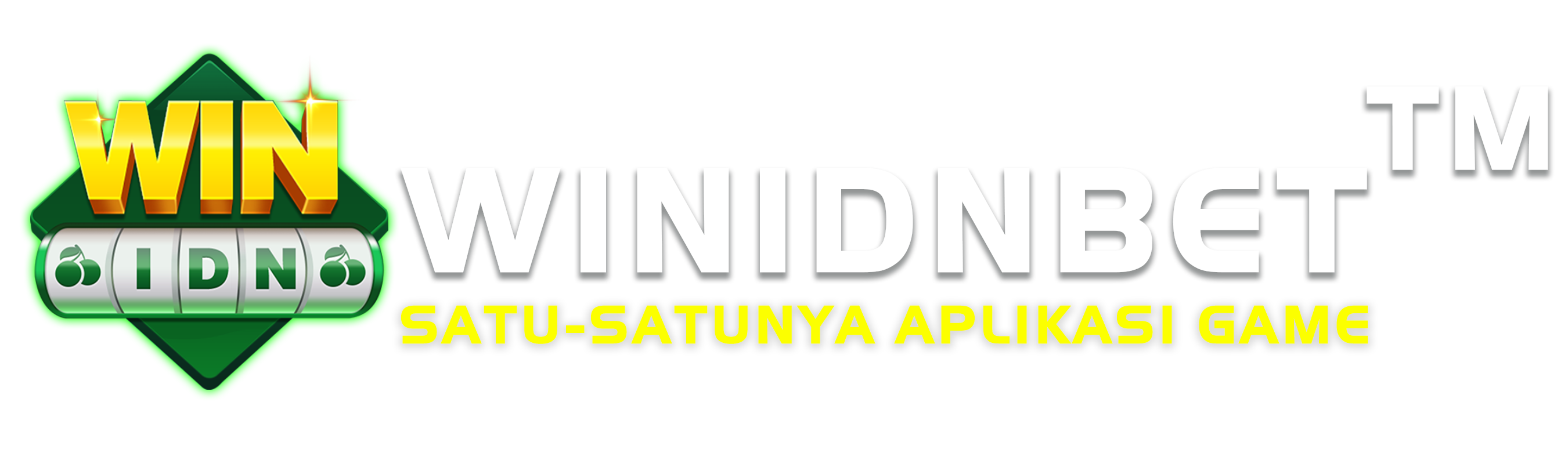 WINIDN Logo
